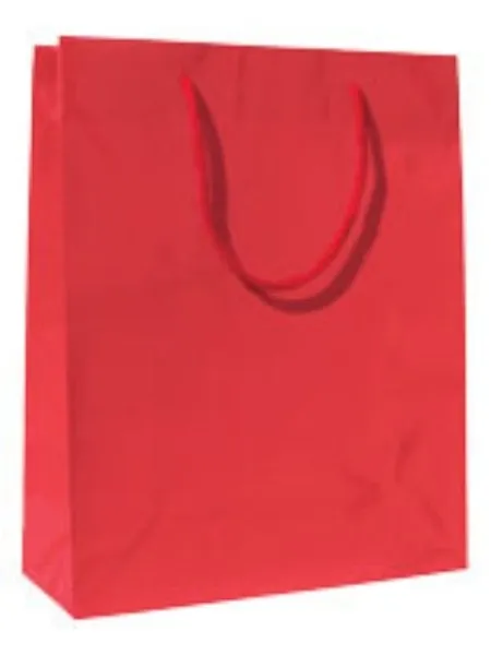 Buste di carta plastificate lucide lusso Colorate - 22 x 27,5 x 10 cm